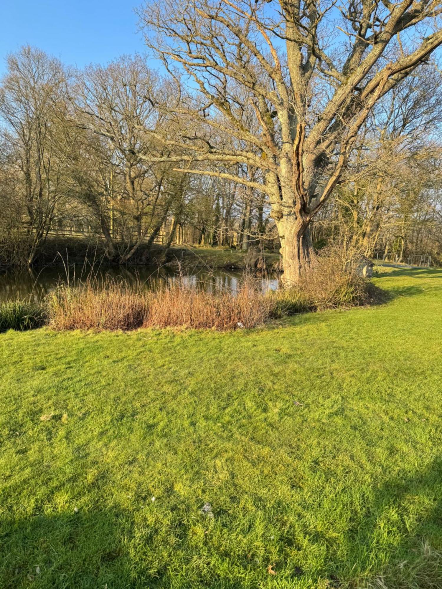 Waters Edge Apartman Rolvenden Kültér fotó